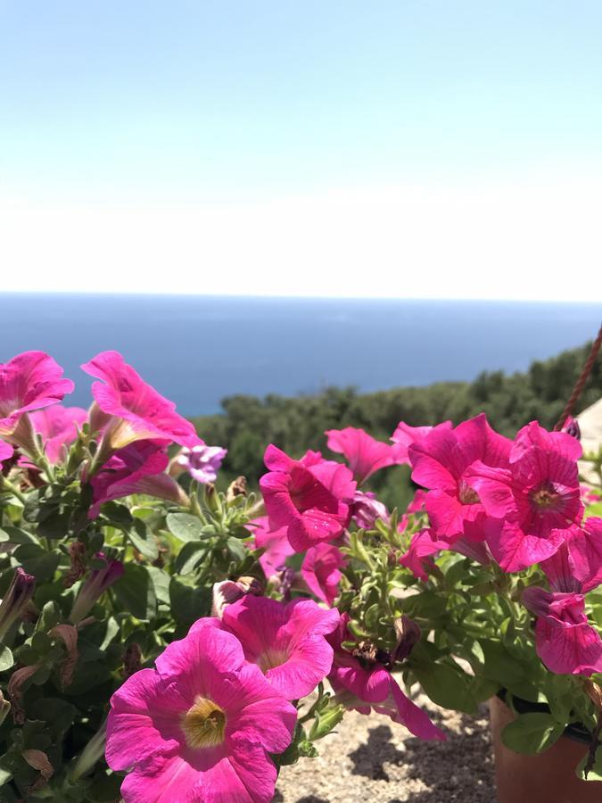 Il Terrazzo - Galatea Casa Vacanze Gagliano del Capo Exteriér fotografie